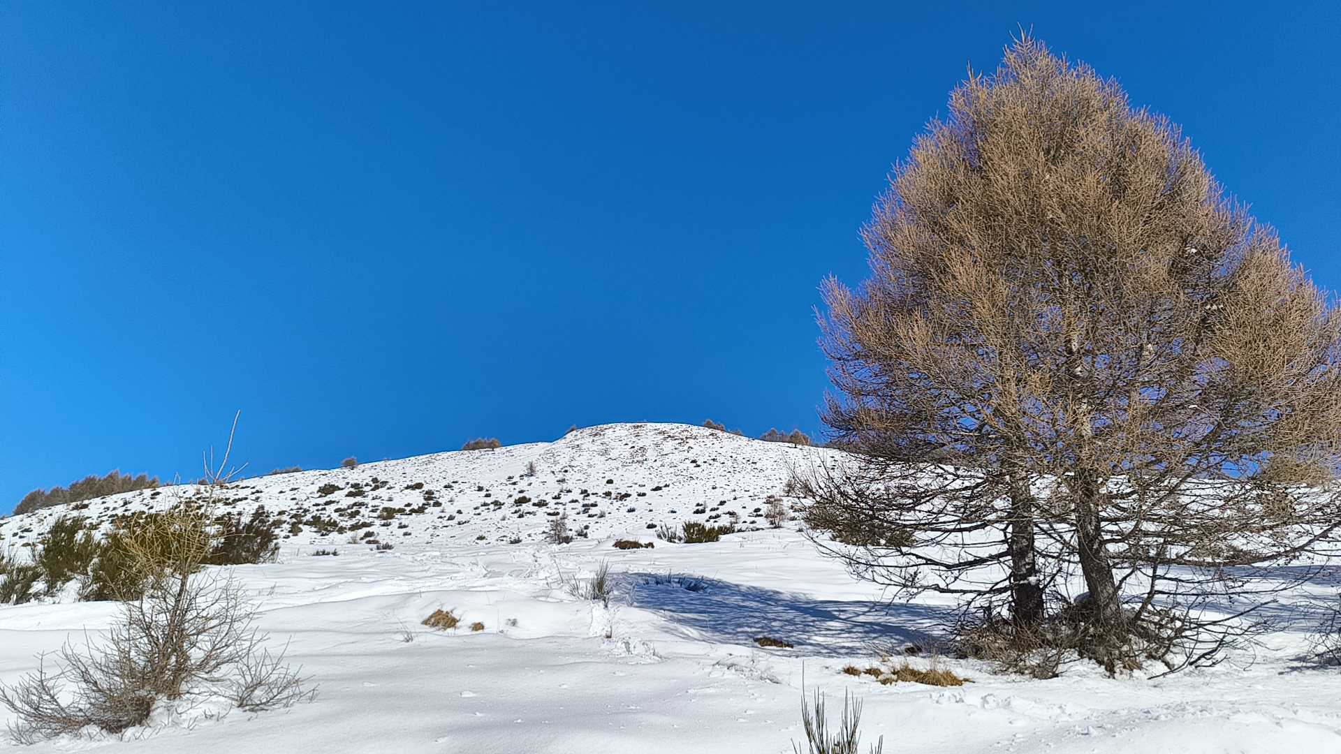 Foto n° 24 del trekking Cimone di Margno